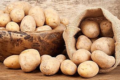 《原神》新角色演示 雷电将军：净土裁断